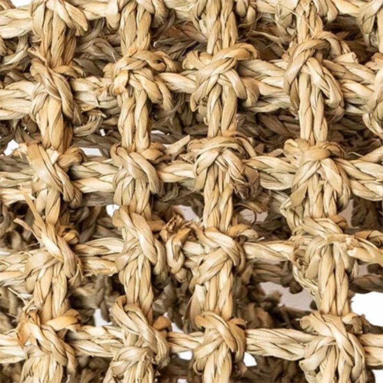 Retour au zoo Nature Refuge des herbiers marins