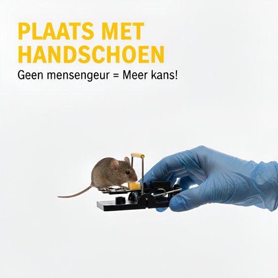 Wat te doen tegen ratten? Ontdek alle oplossingen hier