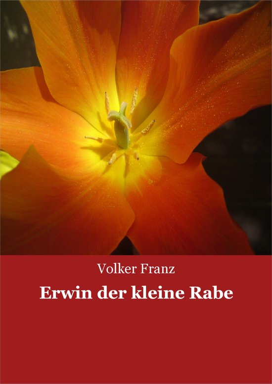 Erwin der kleine Rabe - cover