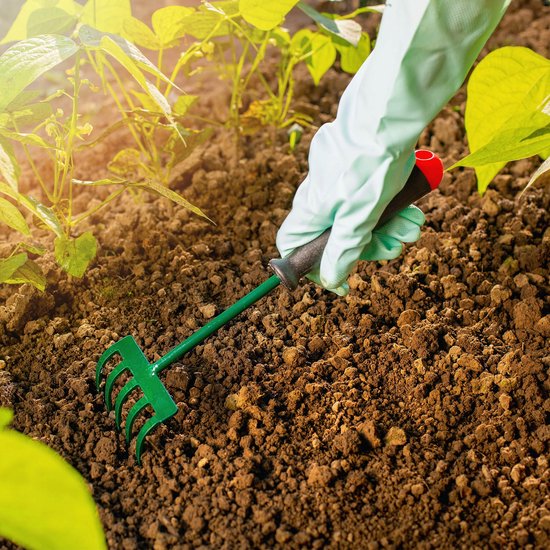 KADAX Hark, kleine hark met steel, bladbezem van metaal, bladhark voor tuin, bloembed, gazonhark, tuingereedschap, hooikoork, tuinhark, groen (25 cm, 5 tanden) van Merkloos	 — afbeelding 2