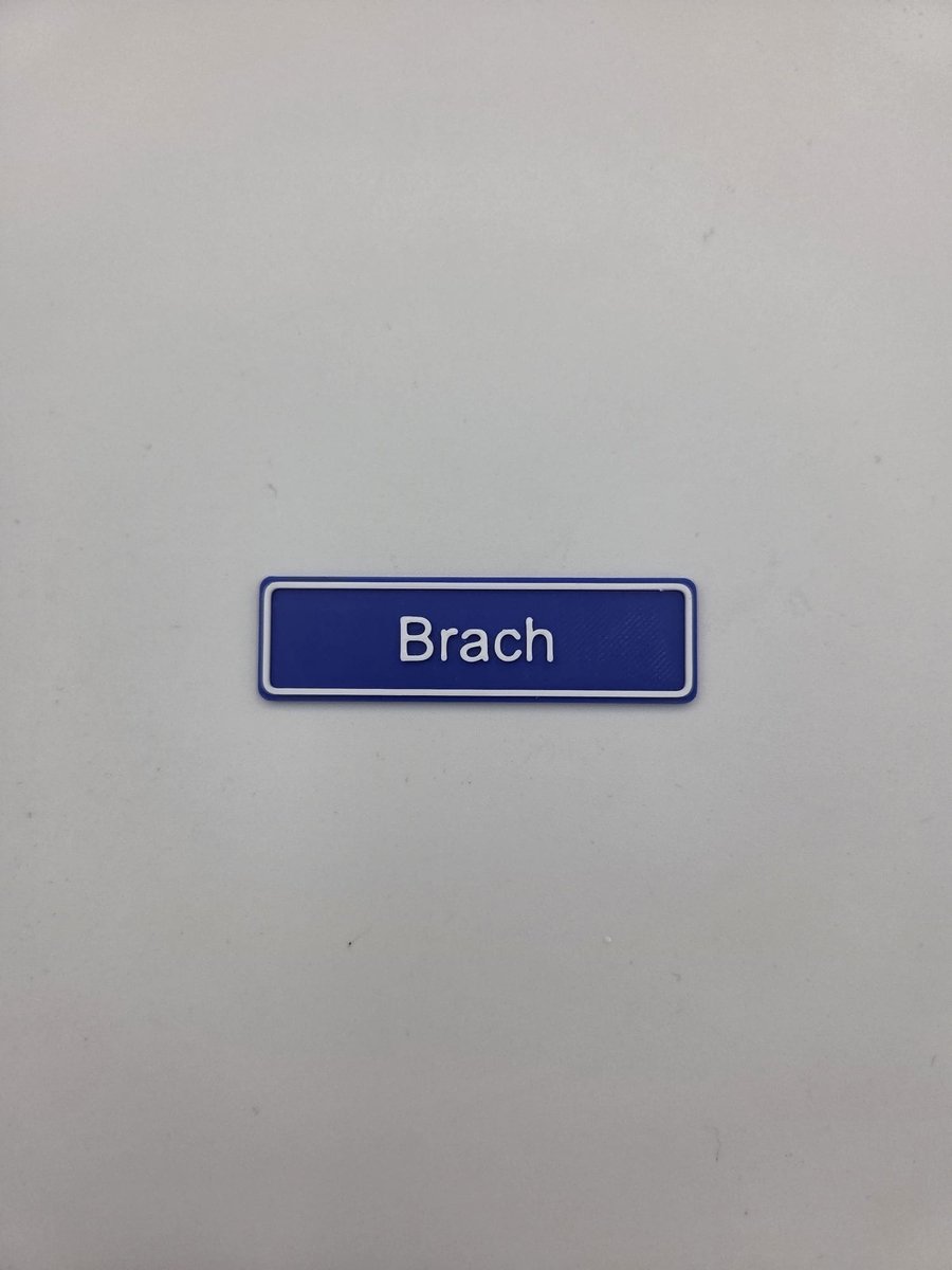 3D plaatsnaam speldje Brach