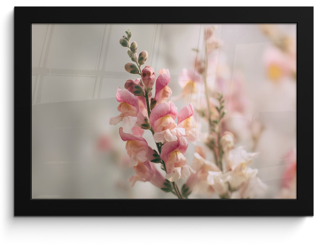 FrameYourWall Poster in lijst - Fotolijst 30x20 cm - Posters - Bloem - Leeuwenbek - Roze - Stengel - Posterlijst zwart - Decoratie - Wanddecoratie woonkamer - Muurdecoratie slaapkamer