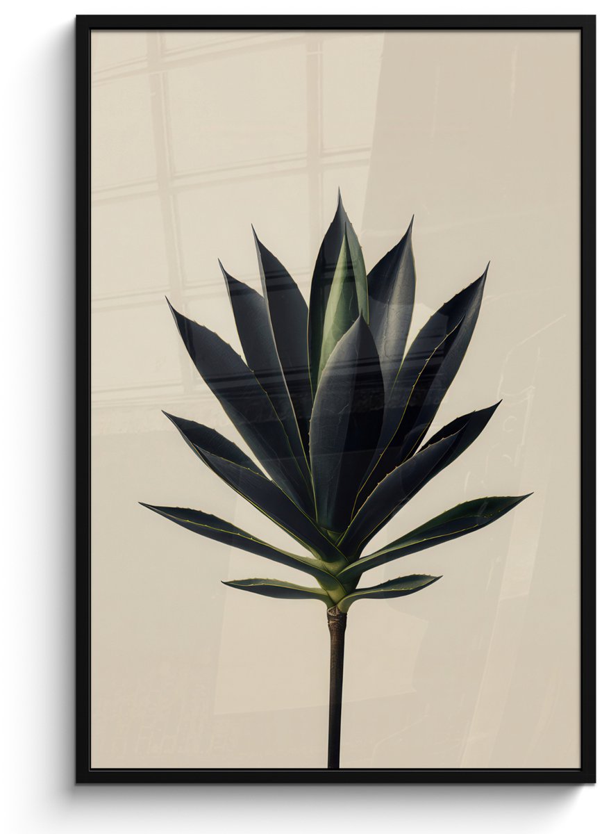 FrameYourWall Poster in lijst - Fotolijst 80x120 cm - Posters - Agaveplant - Symmetrisch - Groen - Posterlijst zwart - Decoratie - Wanddecoratie woonkamer - Muurdecoratie slaapkamer