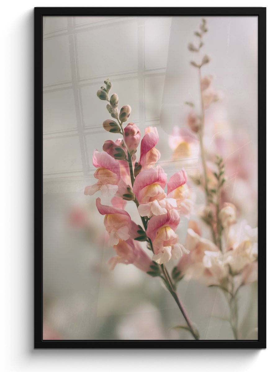 FrameYourWall Poster in lijst - Fotolijst 60x90 cm - Posters - Bloem - Leeuwenbek - Roze - Stengel - Posterlijst zwart - Decoratie - Wanddecoratie woonkamer - Muurdecoratie slaapkamer