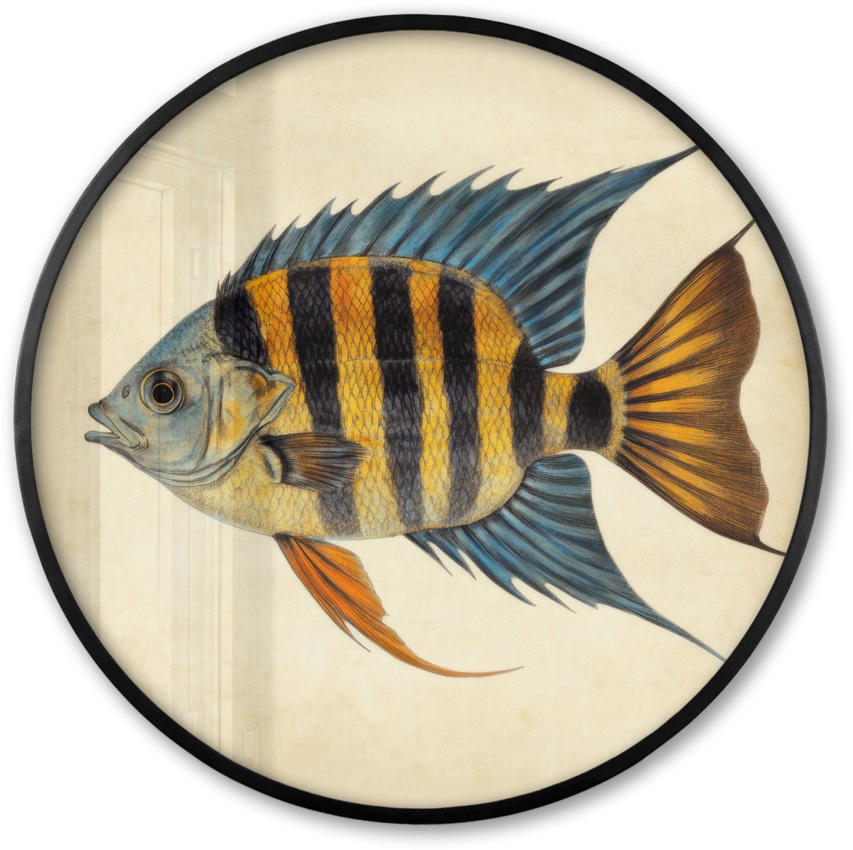 FrameYourWall Poster in lijst Rond - Fotolijst 60x60 cm - Posters - Vis - Tropisch - Strepen - Vinnen - Ronde posterlijst zwart - Decoratie - Wanddecoratie woonkamer - Muurdecoratie slaapkamer