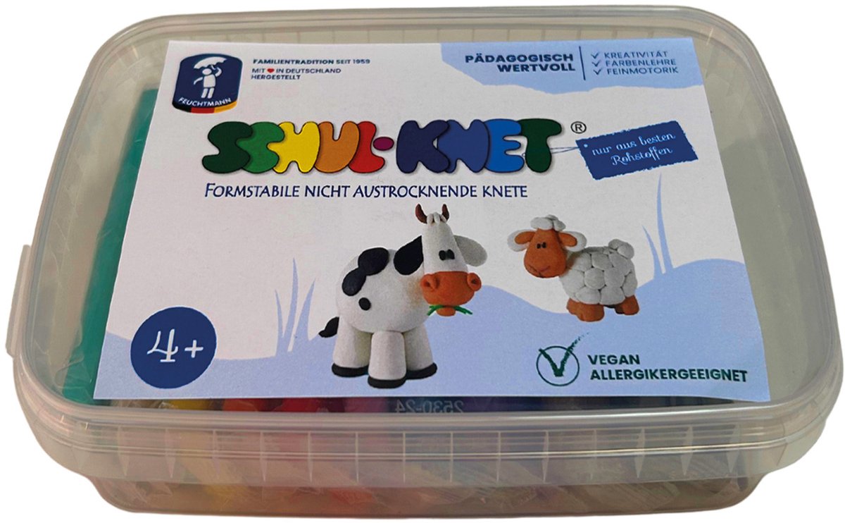 Feuchtmann - 628 0111 - SCHUL-KNET - Box Maxi 10x40g