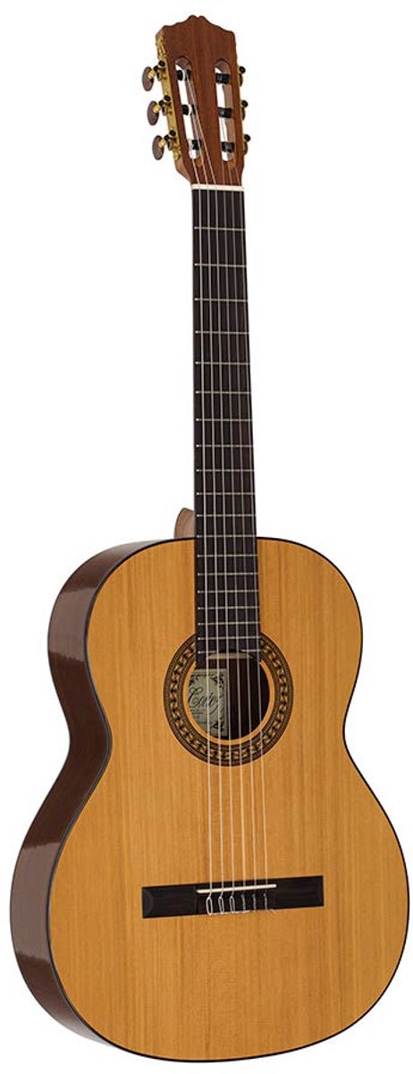 Klassieke gitaar 4/4 Salvador Cortez Solid Top Artist Series CC-22