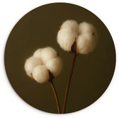 WallCircle® Wandcirkel 60x60 cm - Muurcirkel Takken - Katoen - Wit - Bollen - Muurdecoratie woonkamer - Wanddecoratie slaapkamer - Kamer decoratie accessoires - Ronde schilderijen