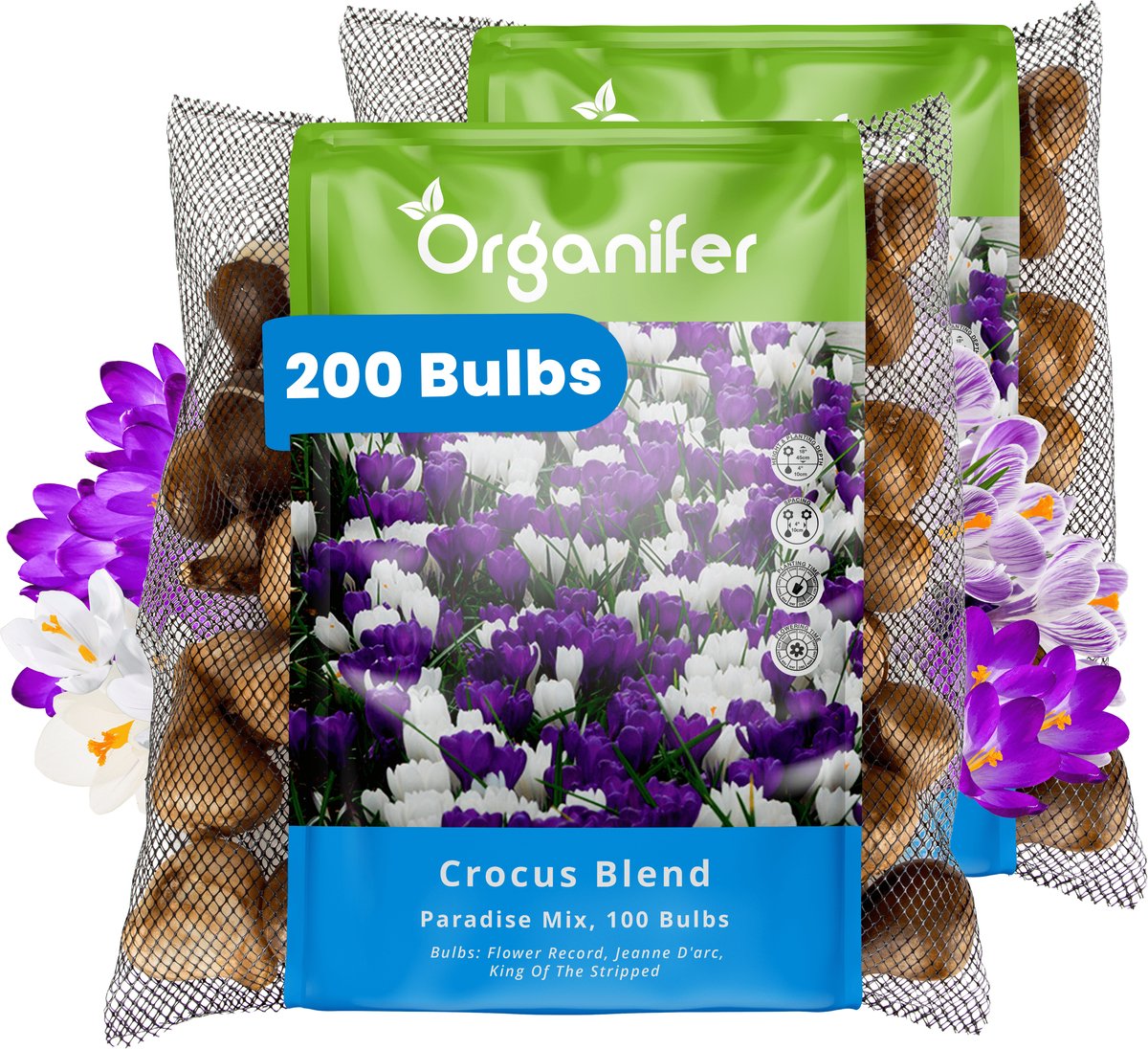 200 Krokus - Crocus - Bloembollen - Grootbloemige Paradise Mix - XXL Bollengrootte 8/9 cm - Zomerbollen - Voorjaarsbollen - Trekt vlinders en bijen aan - Vaste planten - Veelkleurig - Organifer