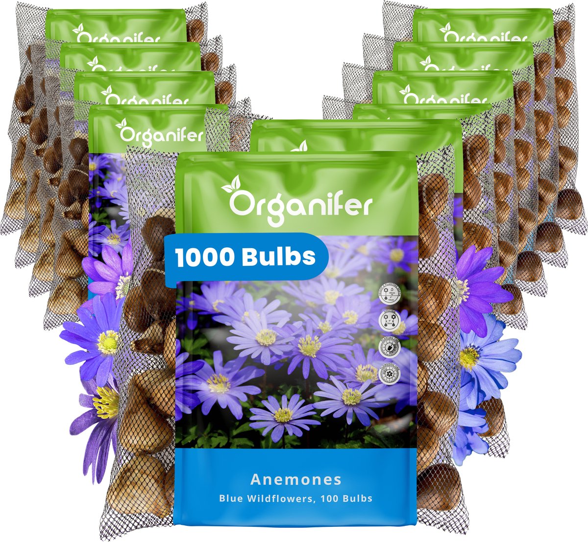 1000 Anemone - Anemoonbollen - Blauwe Windbloemen - XXL Bollengrootte 5 cm - Anemonoides oregana - Bloembollen - Zomerbollen - Voorjaarsbollen - Geschikt als snijbloem - Trekt vlinders en bijen aan - Vaste planten - Organifer