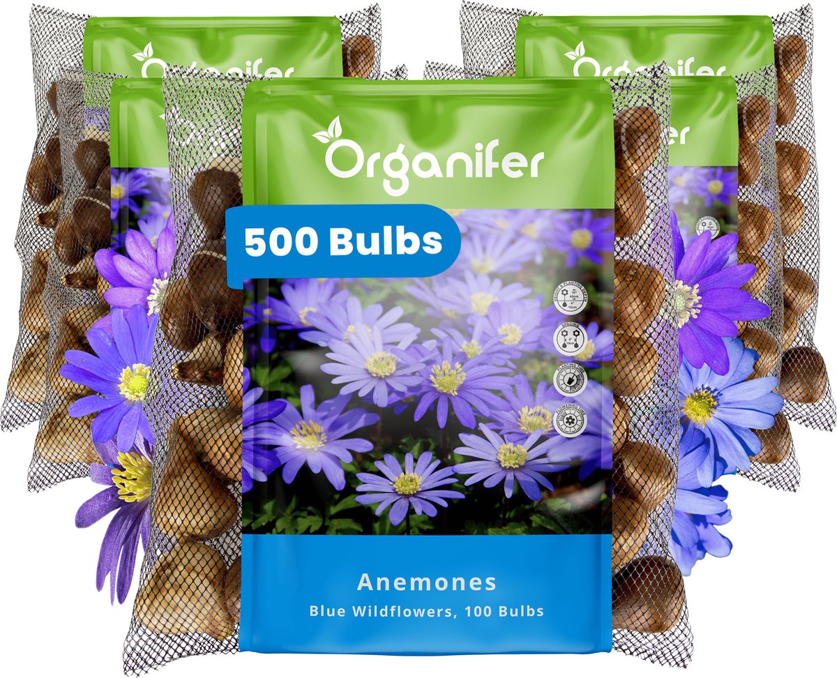 500 Anemone - Anemoonbollen - Blauwe Windbloemen - XXL Bollengrootte 5 cm - Anemonoides oregana - Bloembollen - Zomerbollen - Voorjaarsbollen - Geschikt als snijbloem - Trekt vlinders en bijen aan - Vaste planten - Organifer