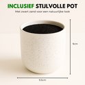 Witte pot met spikkels, 9.5cm breed en 9cm hoog, gevuld met zwart zand.