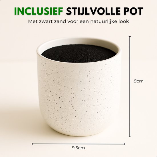 Witte pot met spikkels, 9.5cm breed en 9cm hoog, gevuld met zwart zand.