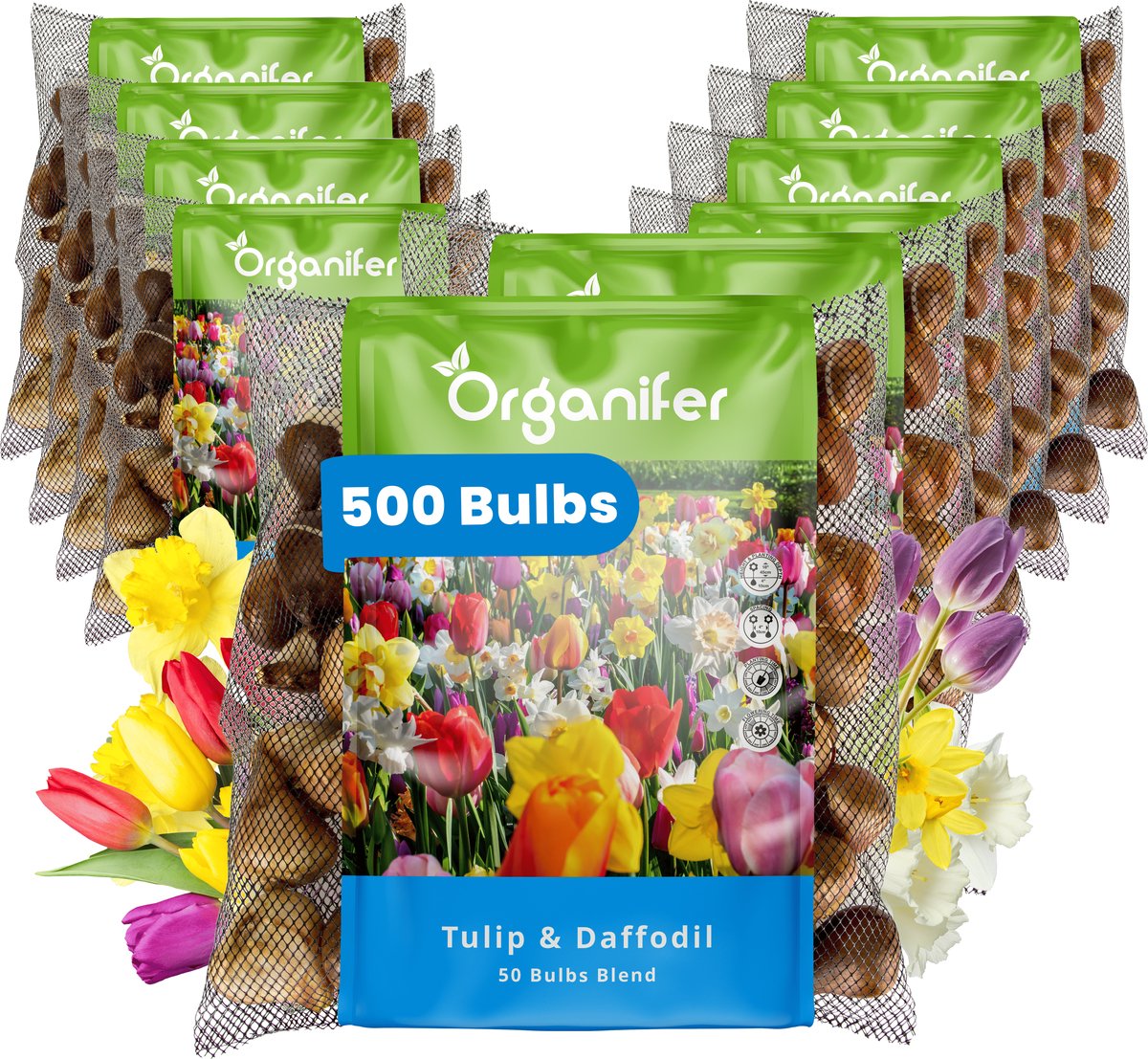 500 Tulpen- en Narcissen Mix - 8 Soorten - XXL Bolmaat 12/14 cm/+ - Bloembollen - Narcissen - Kleurenmix - Zomerbollen - Voorjaarsbollen - Trekt vlinders en bijen aan - Vaste planten - Organifer