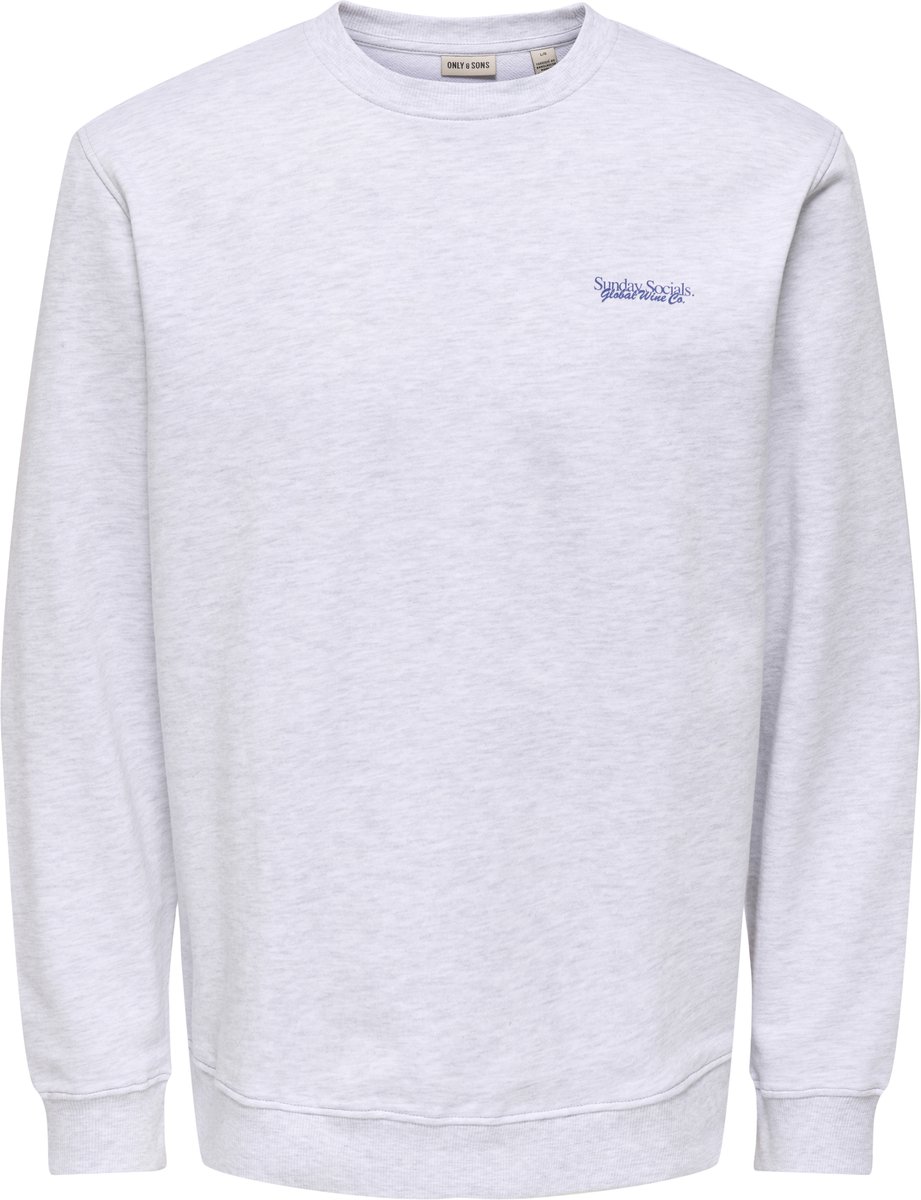 ONLY&SONS - ONSALTA SOCIAL REG CREW NECK - Heren - Sweaters
