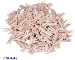 Knaak Mini Wasknijpers - 100 stuks - 2.5 cm - Hout - Houtkleurig