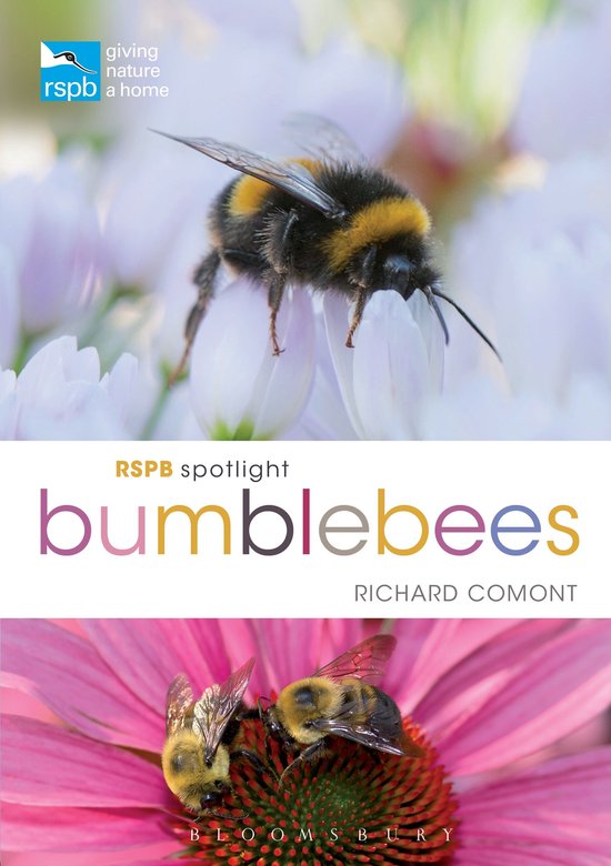 RSPB - RSPB Spotlight Bumblebees - cover