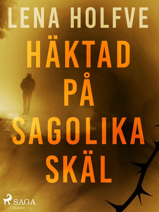 Häktad på sagolika skäl - cover