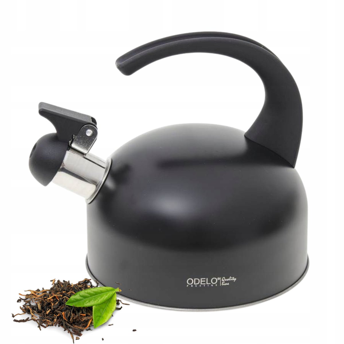 Odelo Mat Zwarte Inductie Ketel 1.5L - RVS, Gas & Meer