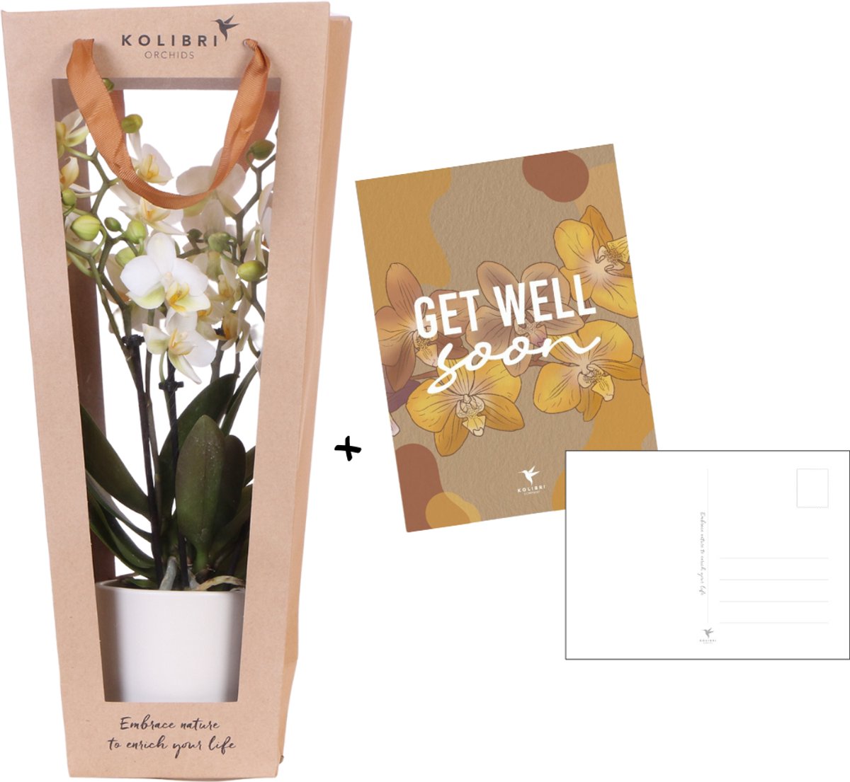 Kolibri Orchids | Planten cadeau beterschap | Lausanne orchidee met pot, kaart & cadeautas