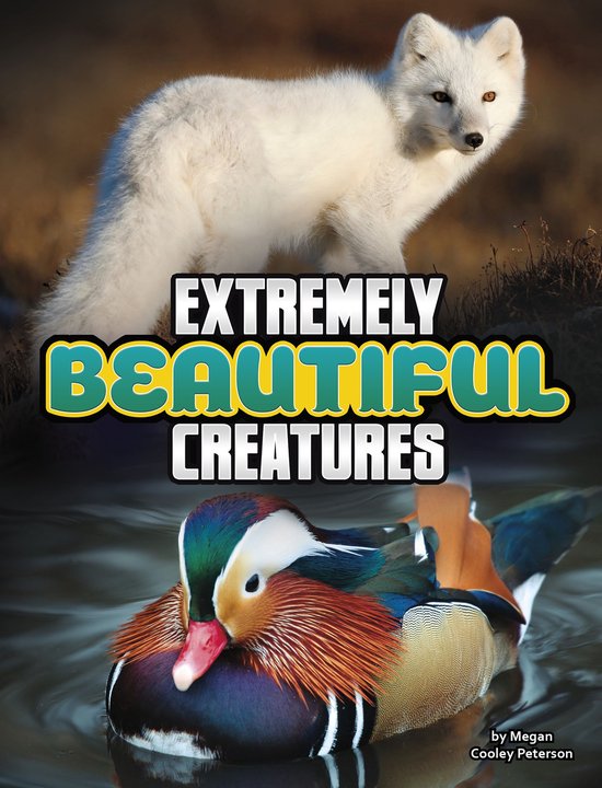 Unreal but Real Animals - Extremely Beautiful Creatures