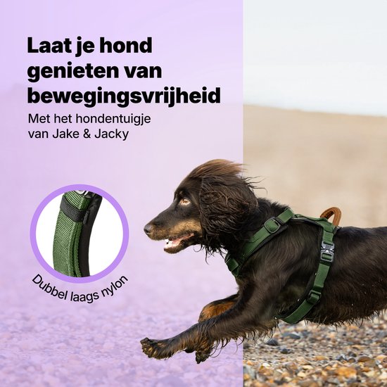 Bruine hond rent over rotsachtig terrein met een groen hondentuigje. Dubbellaags nylon, ergonomisch.