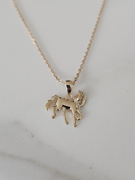 TINGN Valentijnsdag cadeaus voor meisjes - eenhoorn cadeaus voor meisjes ketting 14 karaat vergulde kindersieraden, kinderhart ketting met letters, verjaardagscadeau voor dochter TINGN Valentijnsdag cadeaus voor meisjes - eenhoorn cadeaus voor meisjes ketting 14 karaat vergulde kindersieraden, kinderhart ketting met letters, verjaardagscadeau voor dochter