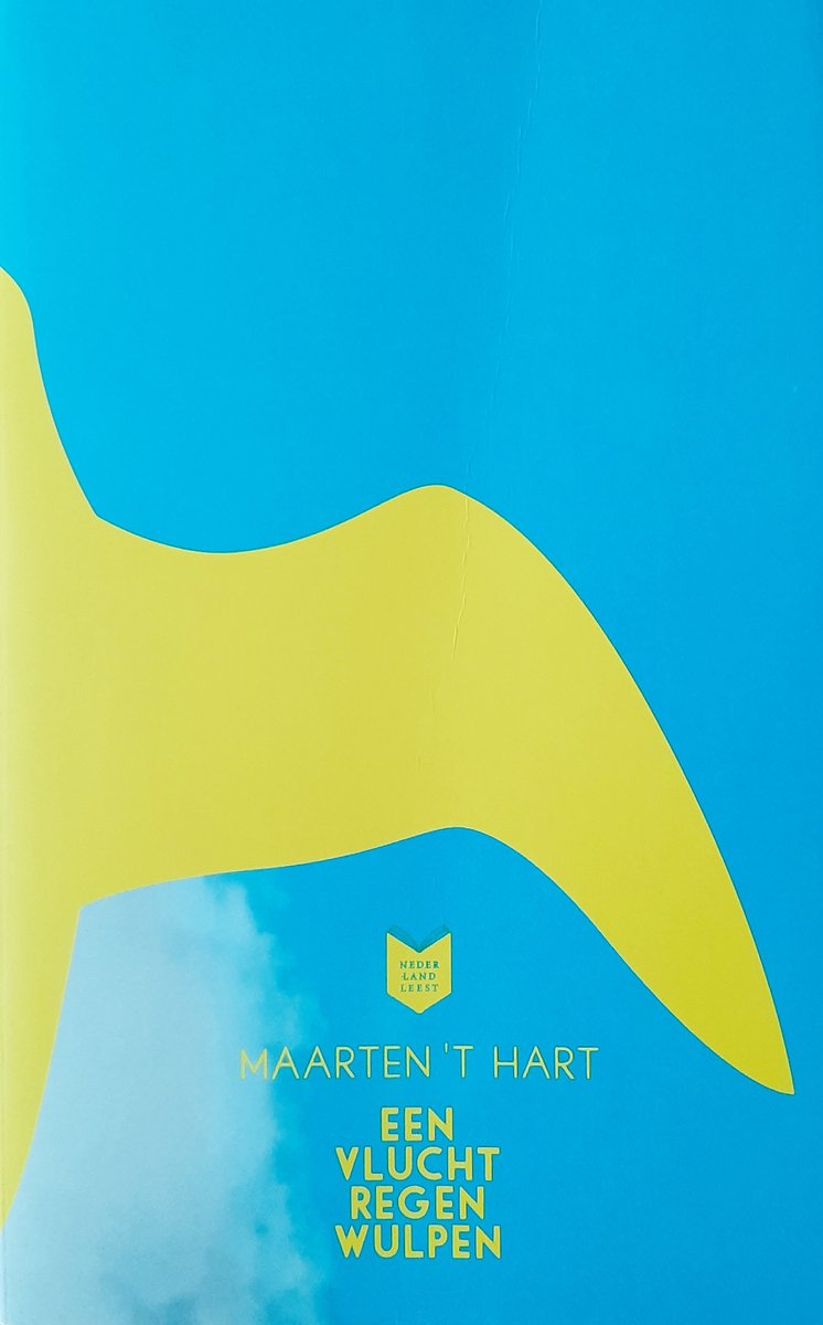 Omslag van Een vlucht regenwulpen | Maarten t. Hart