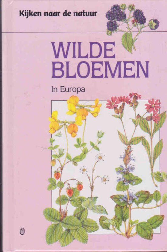 Wilde bloemen in Europa