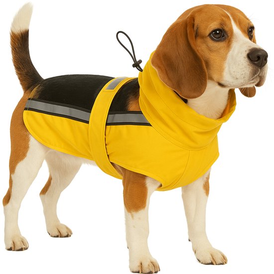Beagle portant un manteau de pluie jaune avec un col montant et des rayures réfléchissantes.