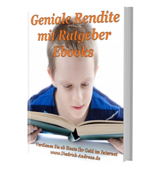 Geniale Rendite mit Ratgeber-Ebooks - cover