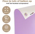 Afbeelding nummer  8