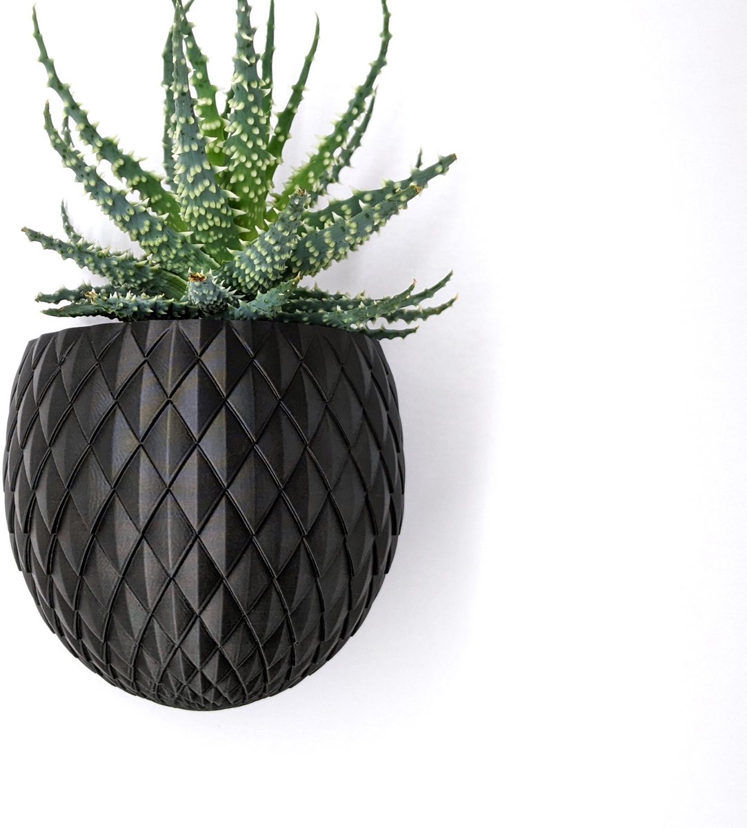 4one6 industries - De Draak Egg Muur Plantenpot - Bloempot - Voor Kamerplanten - Dragon
