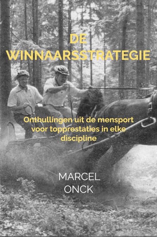 De Winnaarsstrategie - cover