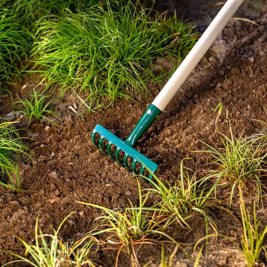 KADAX Metalen hark, platte hark met houten handvat, bladhark voor tuin, bed, bladhark, gazonhark, groen, tuingereedschap, tuingereedschap (8 tanden) van Merkloos	 — afbeelding 4
