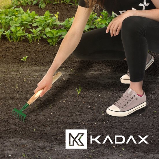 KADAX kleine metalen hark, hark gemaakt van hout, lommerrijke bezems, loudbreak, gazonhark voor tuin, tuin hicke, handhark, kleine ventilatorbroom (groen 6 tanden) van Merkloos	 — afbeelding 5