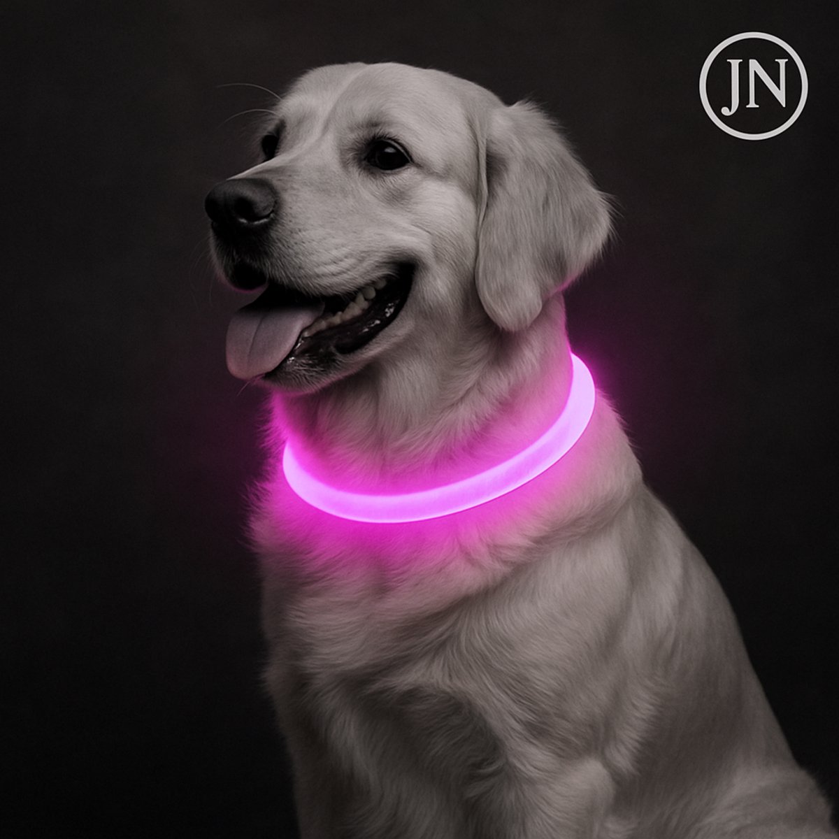 LED Halsband Hond – USB Oplaadbaar – 70 cm – Roze – Lichtgevend – Veilig in het Donker – Verstelbaar
