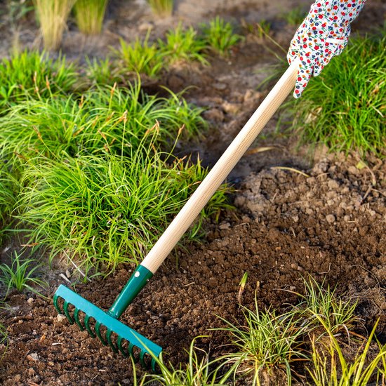 KADAX Hark van metaal, platte hark met steel van hout, bladbezem voor tuin, bloembed, bladbreken, gazonhark, groen, tuingereedschap, hooikoork, tuingereedschap, hark (10 tanden) van KADAX — afbeelding 4
