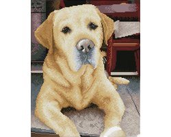 peinture diamant - labrador - 48x58cm - carrés