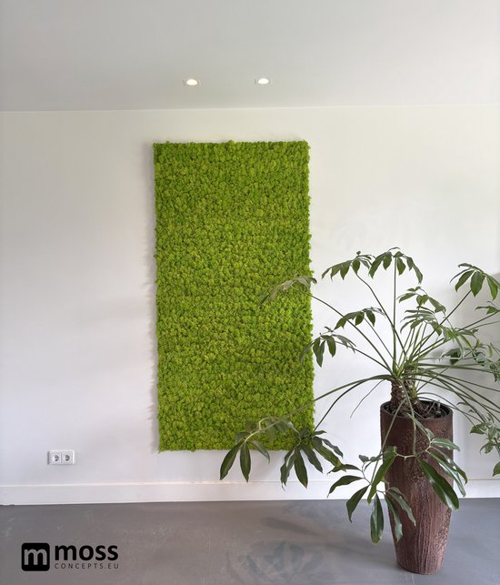 MOSS concepts Moswand paneel rendiermos springgroen