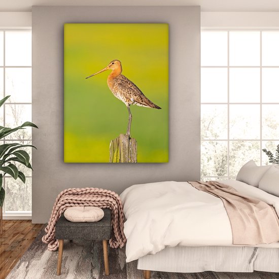 Toile - Tableau - Vogel - Animaux - Barge à queue noire - Perche - Vert - Peintures sur toile - Photo sur toile - 120x160 cm - Décoration murale - Salon