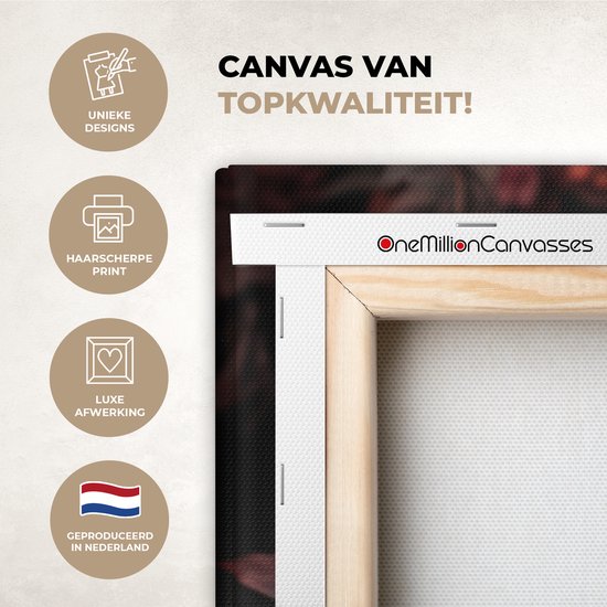 Kwaliteitskenmerken van een canvas met het beeld van een leeuw en bloemen, inclusief het logo.