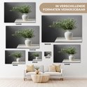 PDP.ProductImage.Thumb.Image.srtText 8