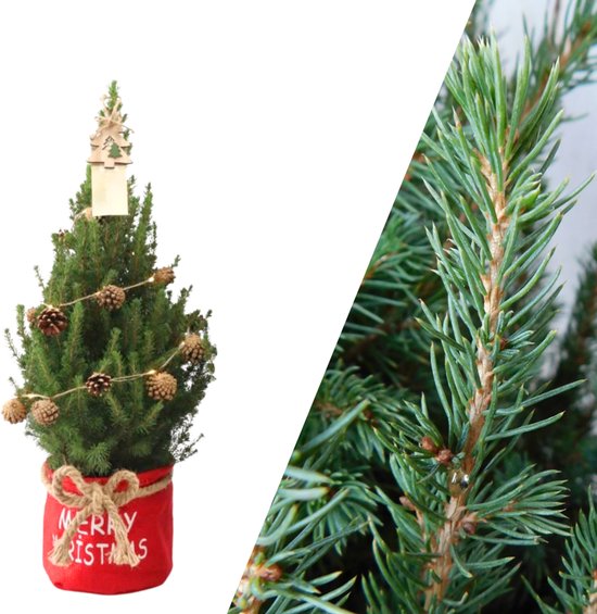 NatureNest - Kerstboom met verlichting 'Pineconelight' in Xmas Bag rood | 19 cm Ø | 60 cm