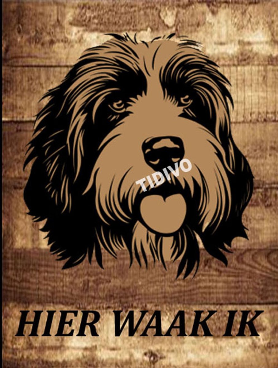 Bearded Collie 20