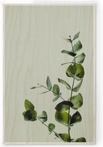 Plywood Print - Houten Poster - Eucalyptus