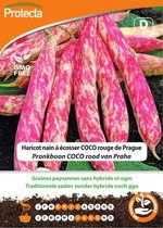 Protecta Groente zaden: Pronkboon COCO rood van Praha
