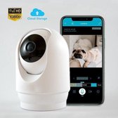 CloudStorage Huisdiercamera - Hondencamera - 2-Weg Audio - WiFi - Beweeg En Geluidsdetectie - Nachtvisie - Draadloos - Hondencamera Beelden Op Telefoon- Hondencamera Met App - Smart Camera - 