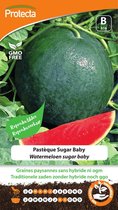 Protecta Groente zaden: Watermeloen sugar baby