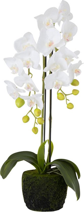 J-Line bloem Orchidee Fresh Touch - kunststof - wit - small